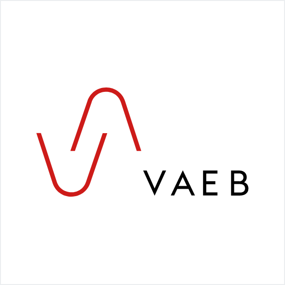 logo vaeb